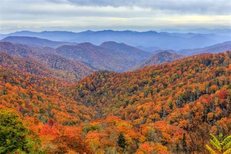 Vibrant-fall-foliage-in-the-Smoky-Mountains | Maestro Tours