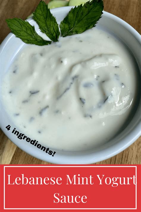 Mint Yogurt Sauce - Lebanese Yogurt Dip