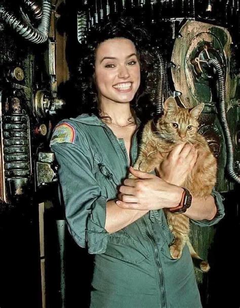 Star Wars Cast, Rey Star Wars, Daisy Ridley, Funny Cat Pictures, Cat ...