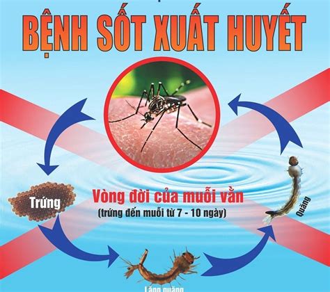 Phòng Chống Bệnh Sốt Xuất Huyết - Bệnh Viện Quận Tân Phú