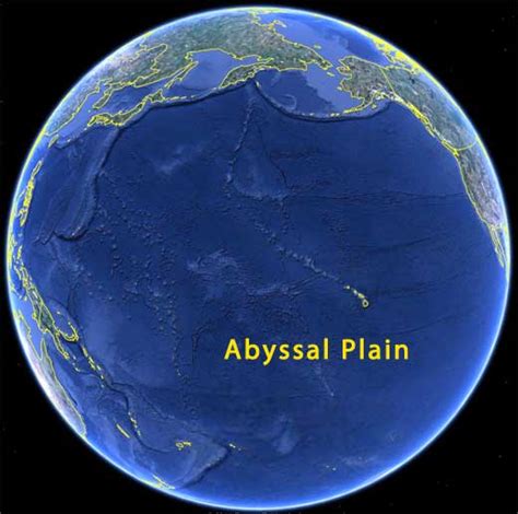 Abyssal plain - Alchetron, The Free Social Encyclopedia