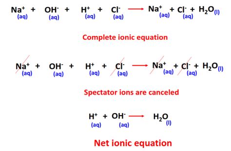 Net ionic equation Calculator - All steps + Examples