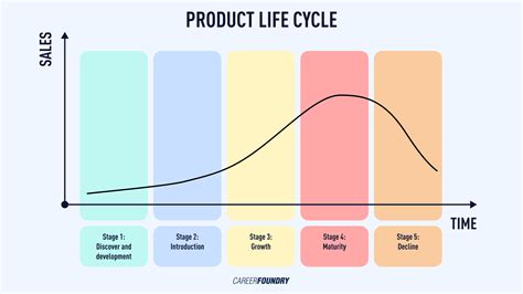 What is the Product Development Life Cycle? A 2023 Guide