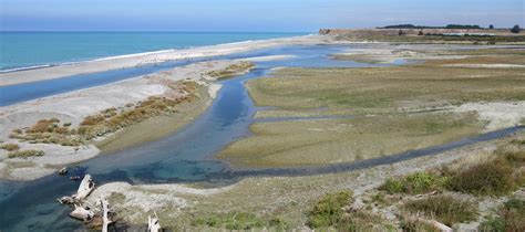 Hakatere/Ashburton River Mouth Management Strategy | Environment Canterbury