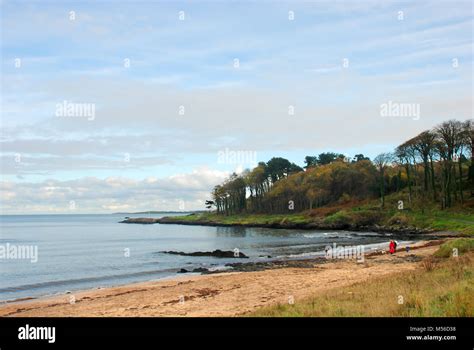 Beach on the coastal path near Bangor, Co. Down, Northern Ireland, UK ...