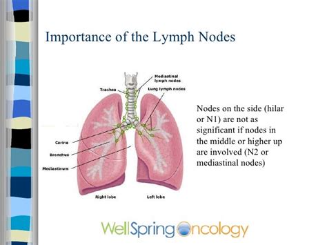 Lung Cancer