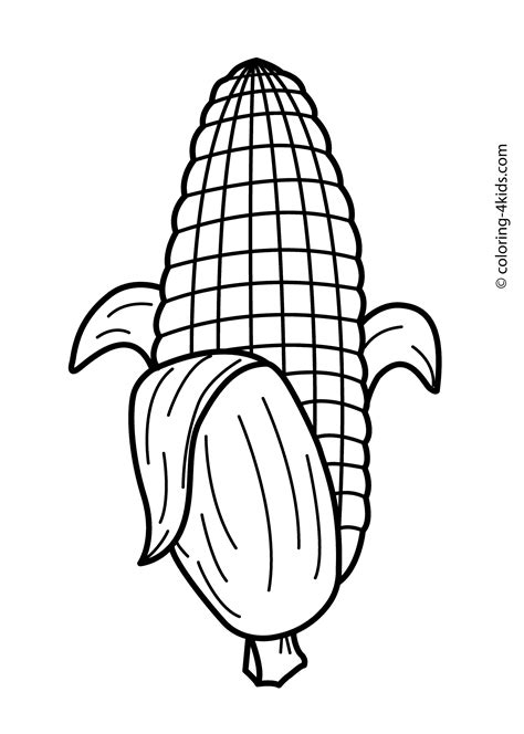 Vegetable Drawing at GetDrawings | Free download