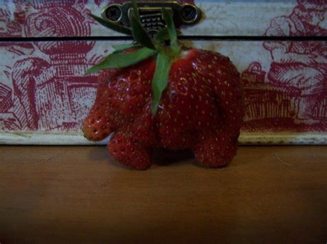 Elephant Shaped Strawberry 2 (From my Mama's garden) | Strawberry, Food ...