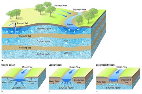 Aquifer Water Cycle Diagram