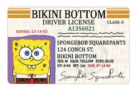 SpongeBob SquarePants ID Cards | Spongebob, Spongebob birthday ...