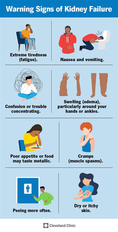 Kidney Failure: Causes, Symptoms & Treatment