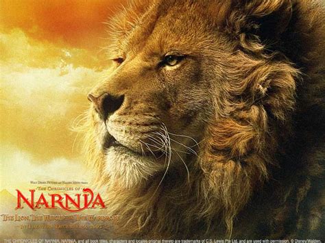 Image - Narnia-Aslan.jpg - WikiNarnia - The Chronicles of Narnia, C.S ...