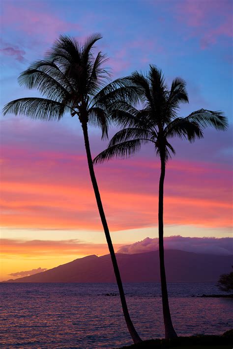 Elua | Wailea | Maui, Hawaii