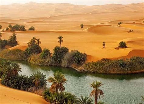 cos платье черное: [29+] Oasis Naturelle Épurée | Oasis Sahara Desert ...