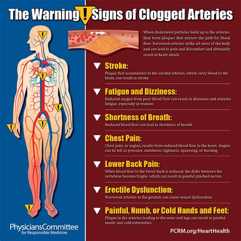 blockage in neck symptoms