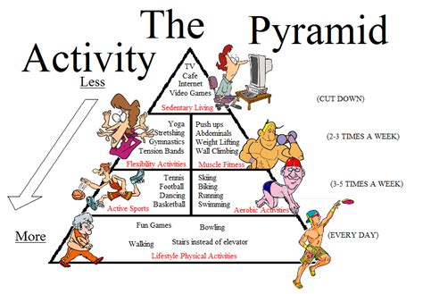 Dimensions of Physical Activity - Monitoring & Promotion of Physical ...