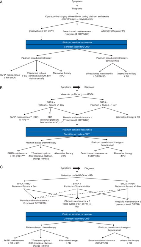 Treatment algorithm for patients diagnosed with epithelial ovarian ...