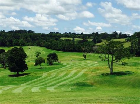 Maleny Golf Club: UPDATED 2020 All You Need to Know Before You Go (with ...