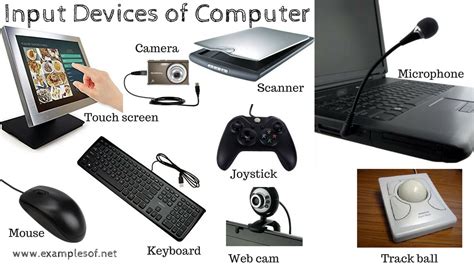 10 Examples of Input Devices of Computer | ExamplesOf.net