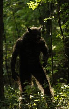 20 Michigan dogman ideas | michigan dogman, werewolf, lycanthrope