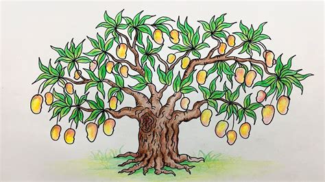 How to Mango Tree Drawing /Mango tree for kids step by step very easy ...