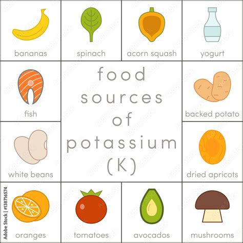 Food sources of potassium Stock Illustration | Adobe Stock