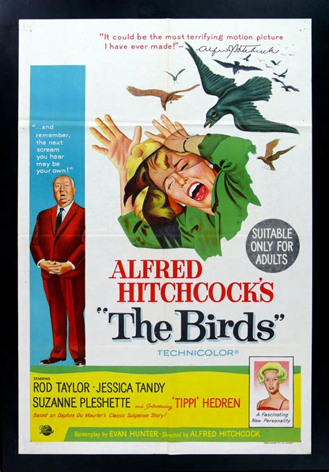 THE BIRDS * CineMasterpieces AUSTRALIAN MOVIE POSTER 1963 ALFRED ...