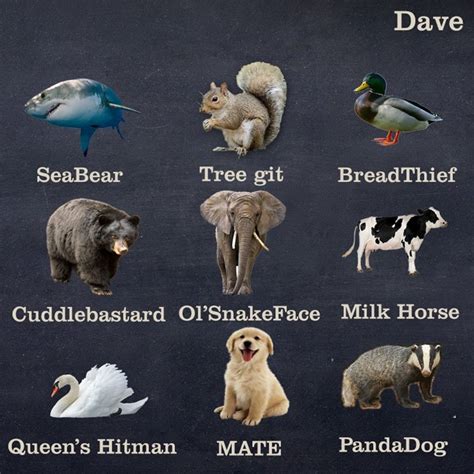 8 Funny Images Giving Better Names To Foods, Animals And More