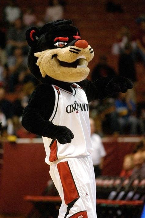 Photo Album, University of Cincinnati | Cincinnati bearcats, University ...