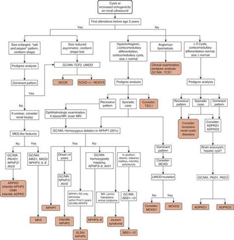 . Cystic Diseases of the Kidney | Obgyn Key