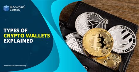 Different Types of Crypto Wallets Explained - Gabriella-has-Woodard