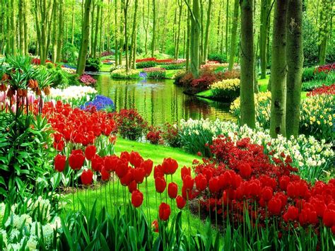 Park Flowers Wallpapers - Wallpaper Cave