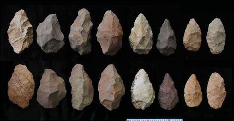 Stone Tools Ties to Rise of Homo Erectus | Human Evolution | Live Science