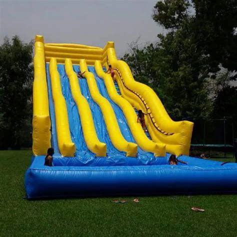 Giant inflatable slide with pool / customized PVC commercial use ...