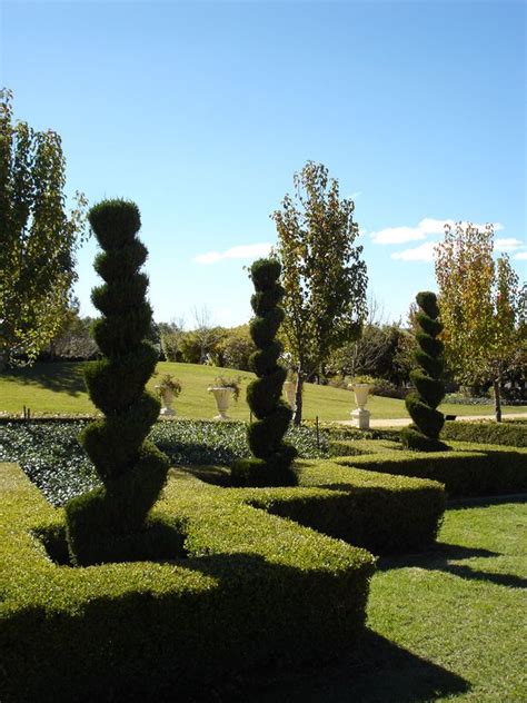 53 Stunning Topiary Trees, Gardens, Plants and Other Shapes | Topiary ...