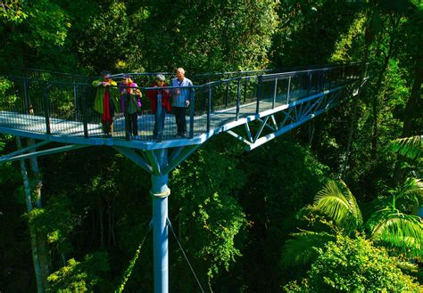 Tamborine Rainforest Skywalk - Scenic Rim