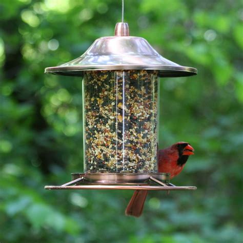 Copper made anti-squirrel bird feeder | Squirrel Proof Bird Feeders