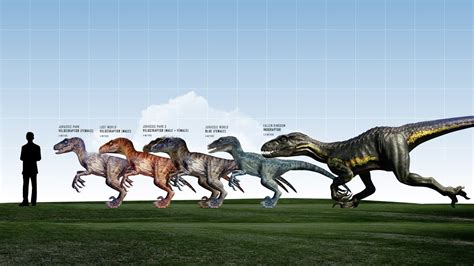 Velociraptor Size Comparison Jurassic Park