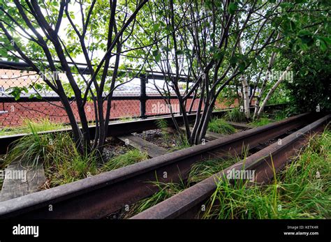 The High Line Park in Manhattan, New York Stock Photo - Alamy