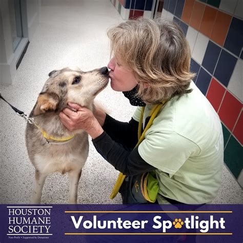 Volunteer Opportunities - Houston Humane Society | Animal Shelter