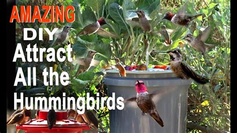 Solar Bird Baths For Hummingbirds