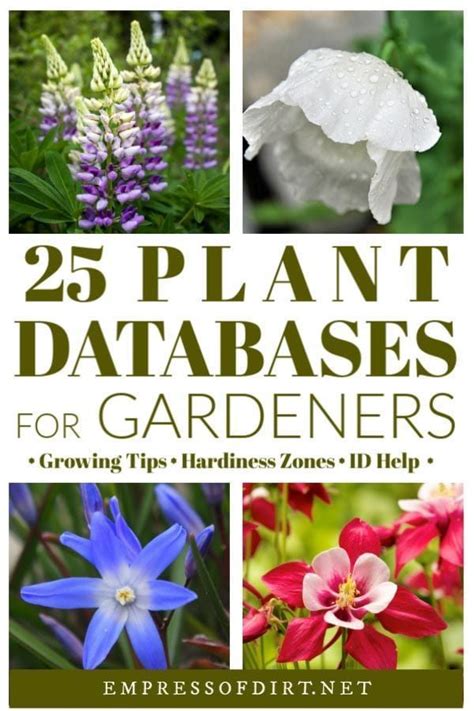 Online Plant Databases (Canada & United States) | Empress of Dirt ...