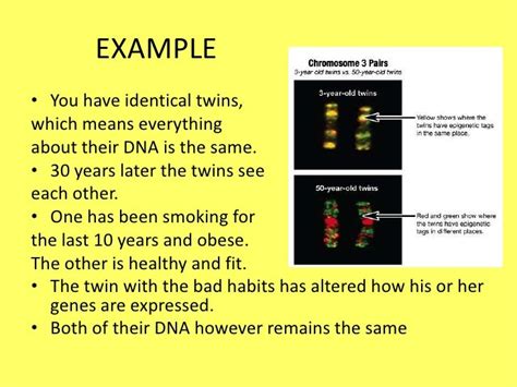 Epigenetics