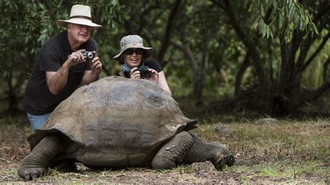 Galapagos Islands Animals and Wildlife, Charles Darwin's inspiration