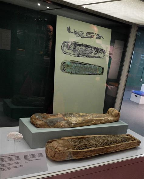 MindTheLiverpool: Animal Mummies Revealed, World Museum, Liverpool