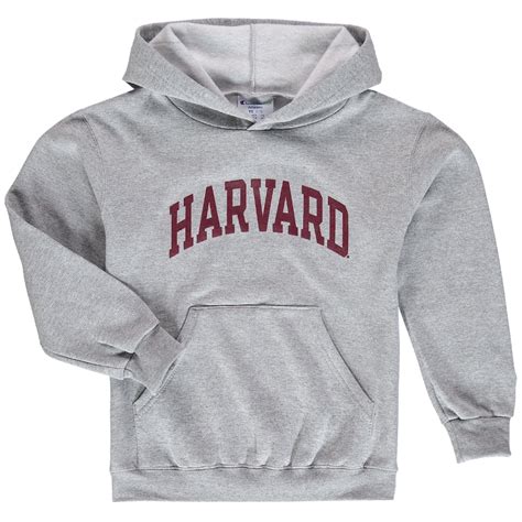 Champion Harvard Crimson Youth Heathered Gray Basic Arch Pullover Hoodie