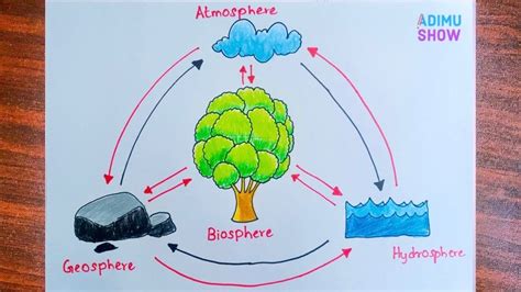 Biology Diagrams, Science Diagrams, Drawing Videos, Easy Drawings, Step ...