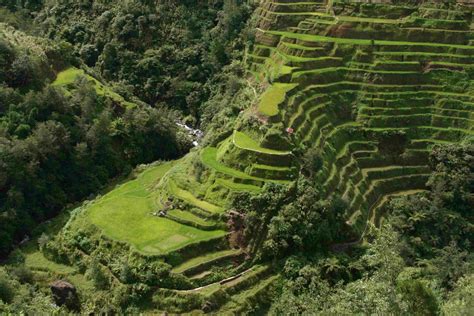 Banaue Rice Terraces Wallpapers - Top Free Banaue Rice Terraces ...