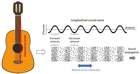 A Transverse Wave Vs Longitudinal - Shajara