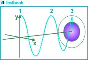 Understanding Wave Equation - Definition, Examples and FAQs